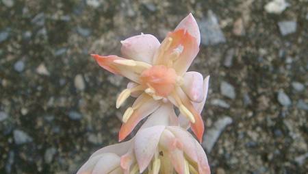 0906 (4).JPG 0906 (4).JPG