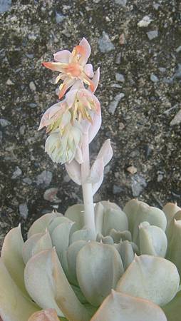 0906 (5).JPG 0906 (5).JPG