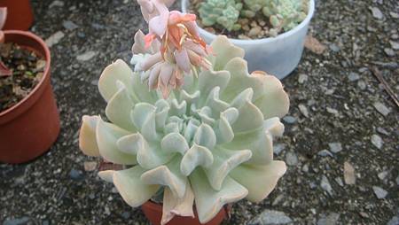 0907 (1).JPG 0907 (1).JPG