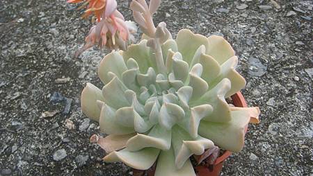 0907 (2).JPG 0907 (2).JPG