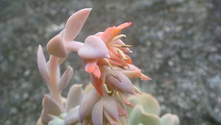 0907 (3).JPG 0907 (3).JPG