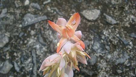 0907 (4).JPG 0907 (4).JPG