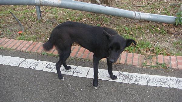 DSC00460.JPG DSC00460.JPG