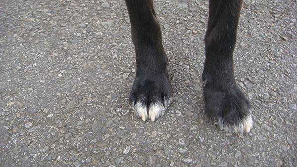 DSC00461.JPG DSC00461.JPG