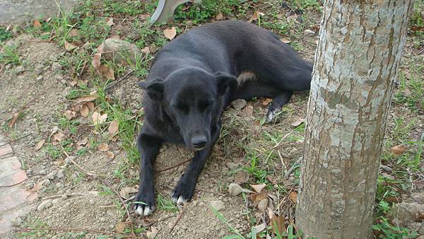 DSC00463.JPG DSC00463.JPG