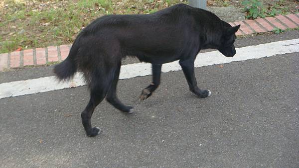 DSC00466.JPG DSC00466.JPG