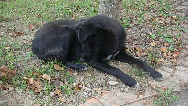 DSC00469.JPG DSC00469.JPG