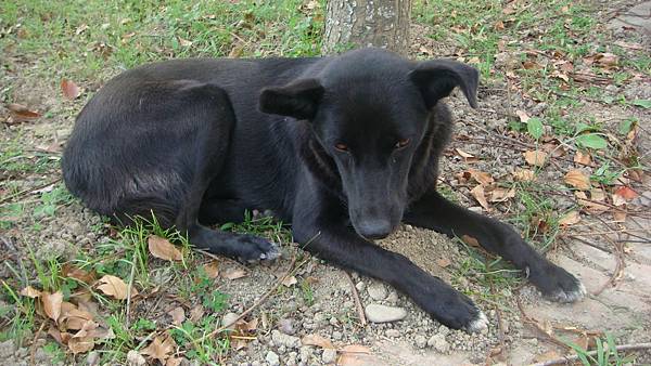 DSC00470.JPG DSC00470.JPG