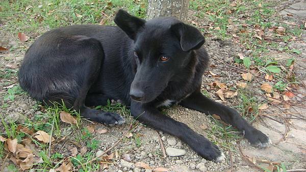 DSC00471.JPG DSC00471.JPG