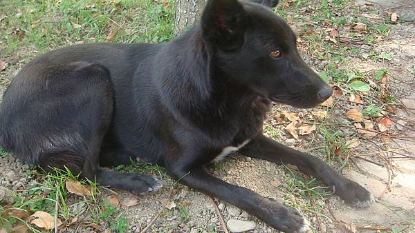 DSC00473.JPG DSC00473.JPG