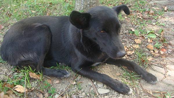 DSC00475.JPG DSC00475.JPG