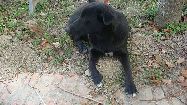 DSC00476.JPG DSC00476.JPG