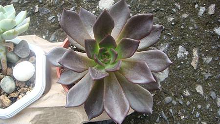 0930 (1).JPG 0930 (1).JPG