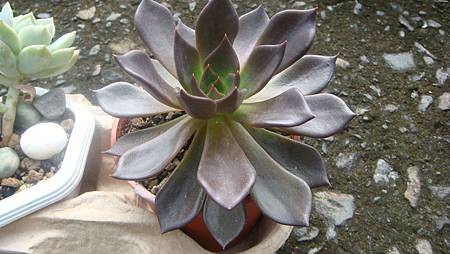 0930 (2).JPG 0930 (2).JPG