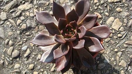 1024 (1).JPG 1024 (1).JPG