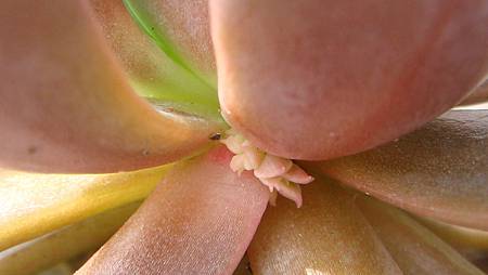 1024 (2).JPG 1024 (2).JPG