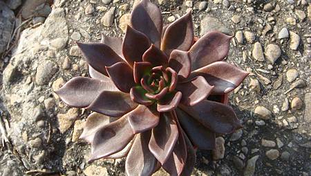 1104 (2).JPG 1104 (2).JPG