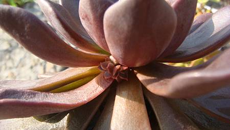 1104 (3).JPG 1104 (3).JPG