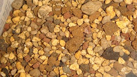 DSC00317.JPG DSC00317.JPG