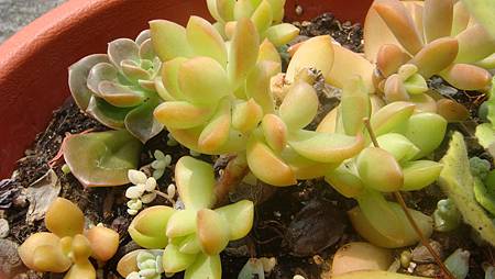 DSC09041.JPG DSC09041.JPG