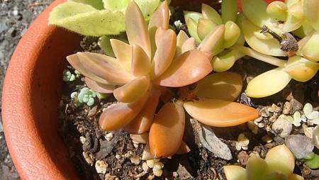 DSC09866.JPG DSC09866.JPG