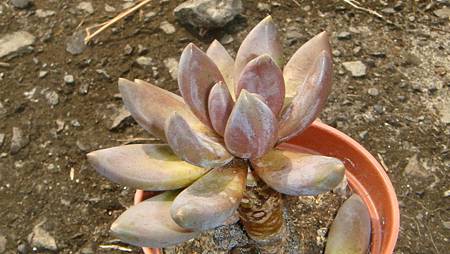 DSC00103.JPG DSC00103.JPG