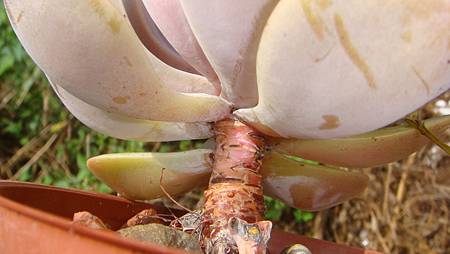 DSC00107.JPG DSC00107.JPG