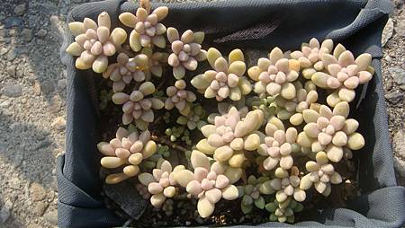 DSC00477.JPG DSC00477.JPG