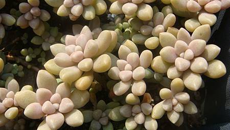 DSC00480.JPG DSC00480.JPG