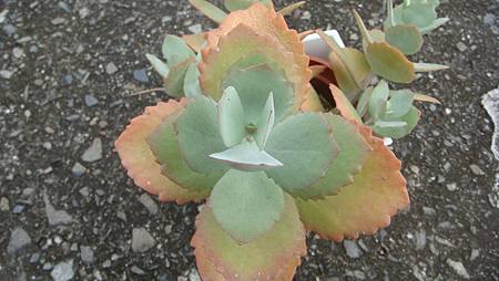 DSC00572.JPG DSC00572.JPG