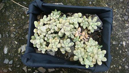 DSC09684.JPG DSC09684.JPG