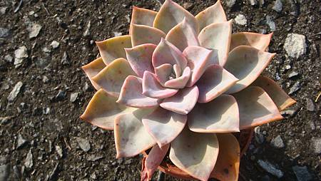 DSC00377.JPG DSC00377.JPG