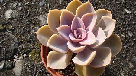 DSC00376.JPG DSC00376.JPG