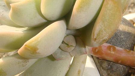 DSC00482.JPG DSC00482.JPG