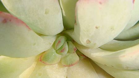 DSC00497.JPG DSC00497.JPG