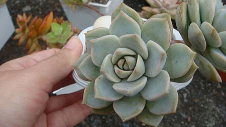 DSC00542.JPG DSC00542.JPG