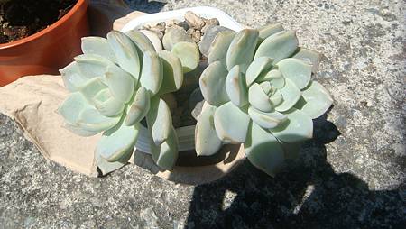 DSC09875.JPG DSC09875.JPG