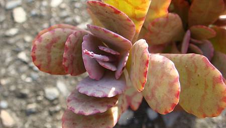 DSC00412.JPG DSC00412.JPG