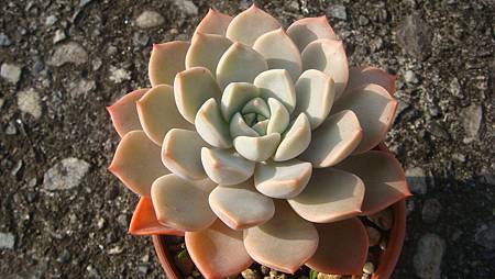 1107 (1).JPG 1107 (1).JPG