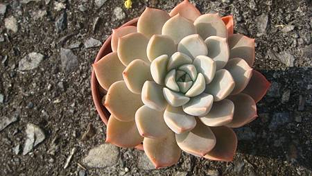 1107 (2).JPG 1107 (2).JPG