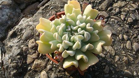 DSC00354.JPG DSC00354.JPG