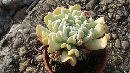 DSC00355.JPG DSC00355.JPG