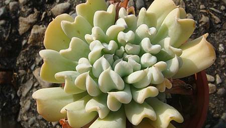 DSC00356.JPG DSC00356.JPG