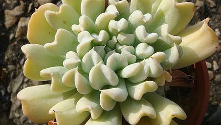 DSC00357.JPG DSC00357.JPG