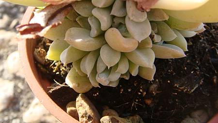 DSC00358.JPG DSC00358.JPG