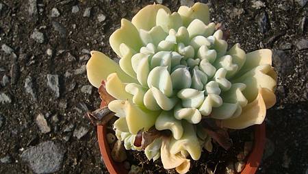 DSC00502.JPG DSC00502.JPG