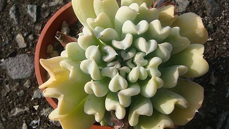 DSC00503.JPG DSC00503.JPG