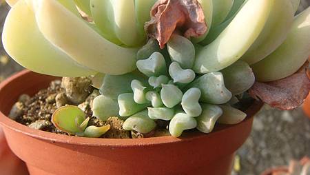 DSC00505.JPG DSC00505.JPG