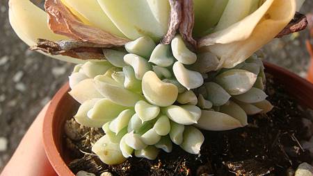 DSC00507.JPG DSC00507.JPG