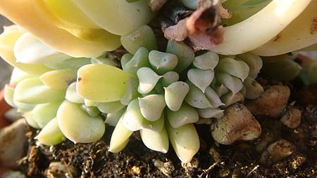 DSC00509.JPG DSC00509.JPG